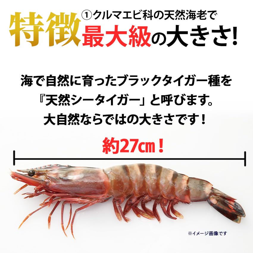 Amazon.co.jp: 超特大！食べ応え！皇帝の海老 天然シータイガー 1尾 約